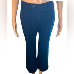 Banana Republic Martin Fit 2 Stretch